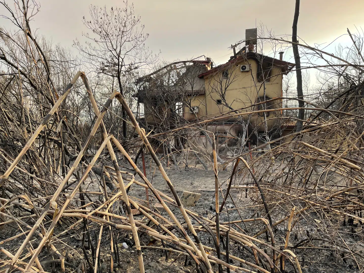 En staelig villa er forvandlet til en ruin. Kilometer eftre kilometer af skove og marker er brændt, og alt var der stood i ildens vej brændte med
