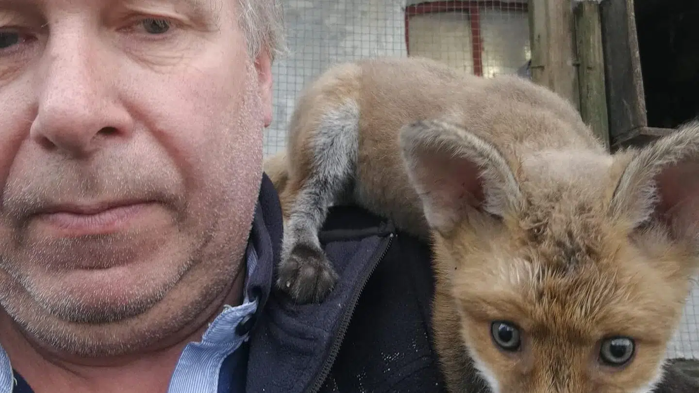 Tage Damgård Jensen og hans tamme ræv, Bamse.