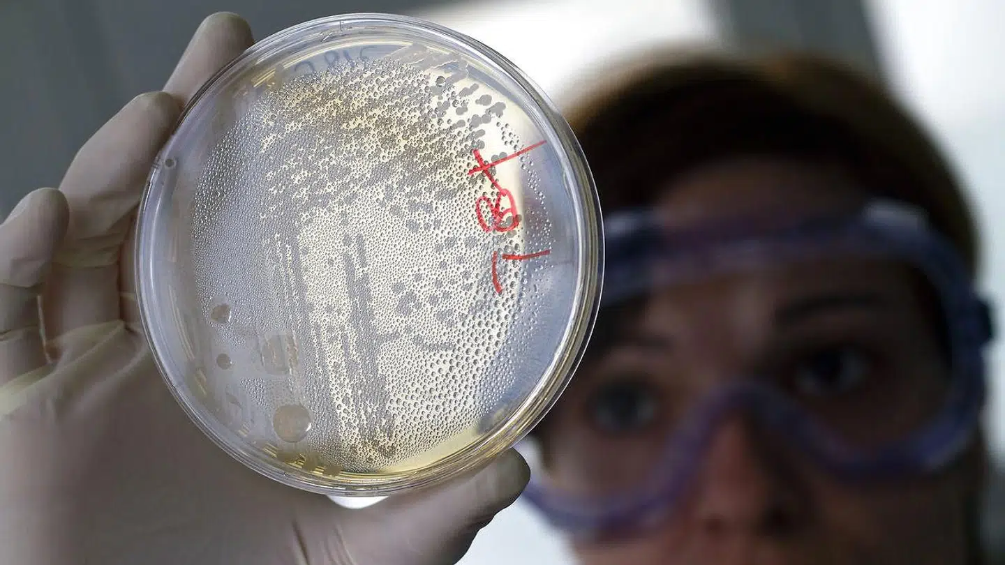 Arkivfoto. Foto: REUTERS/Francisco Bonilla