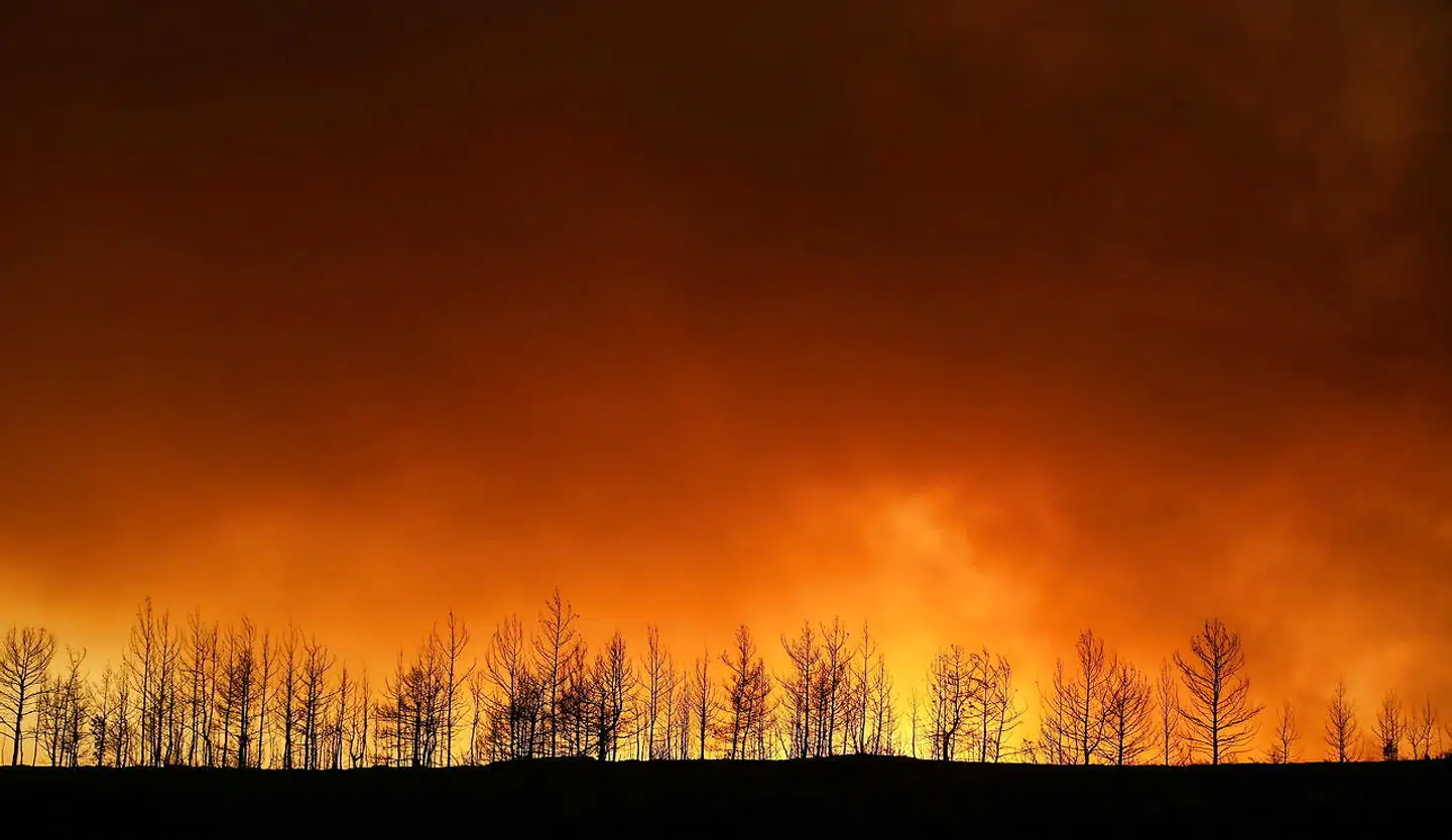 A forest fire burns near the town of Manavgat, east of the resort city of Antalya, Turkey, July 29, 2021. REUTERS/Kaan Soyturk