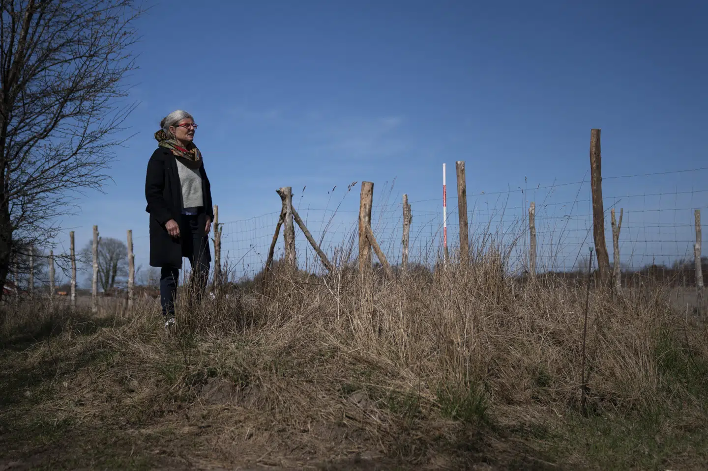 Den milliardære udlandsdansker Svend Petersen har købt tre grunde i et sommerhusområde uden for Melby. Han har planer om at bygge 80 nye sommerhuse på den naturskønne grund og har ryddet et fredet dige og sat et ulovligt hegn op. Men nu har hans nye nabo Susan Holvøe fået nok. Tobias Kobborg/Ritzau Scanpix