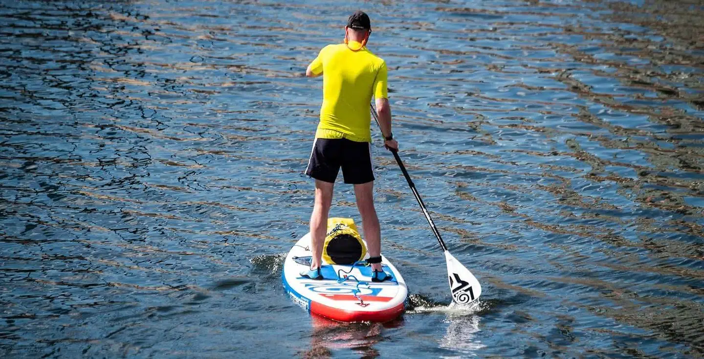 SUP-boards er vældig populære i lystbådehavnen, men lige nu vil havnemesteren ikke anbefale, at man bader i havnen. Arkivfoto: Ritzau Scanpix.
