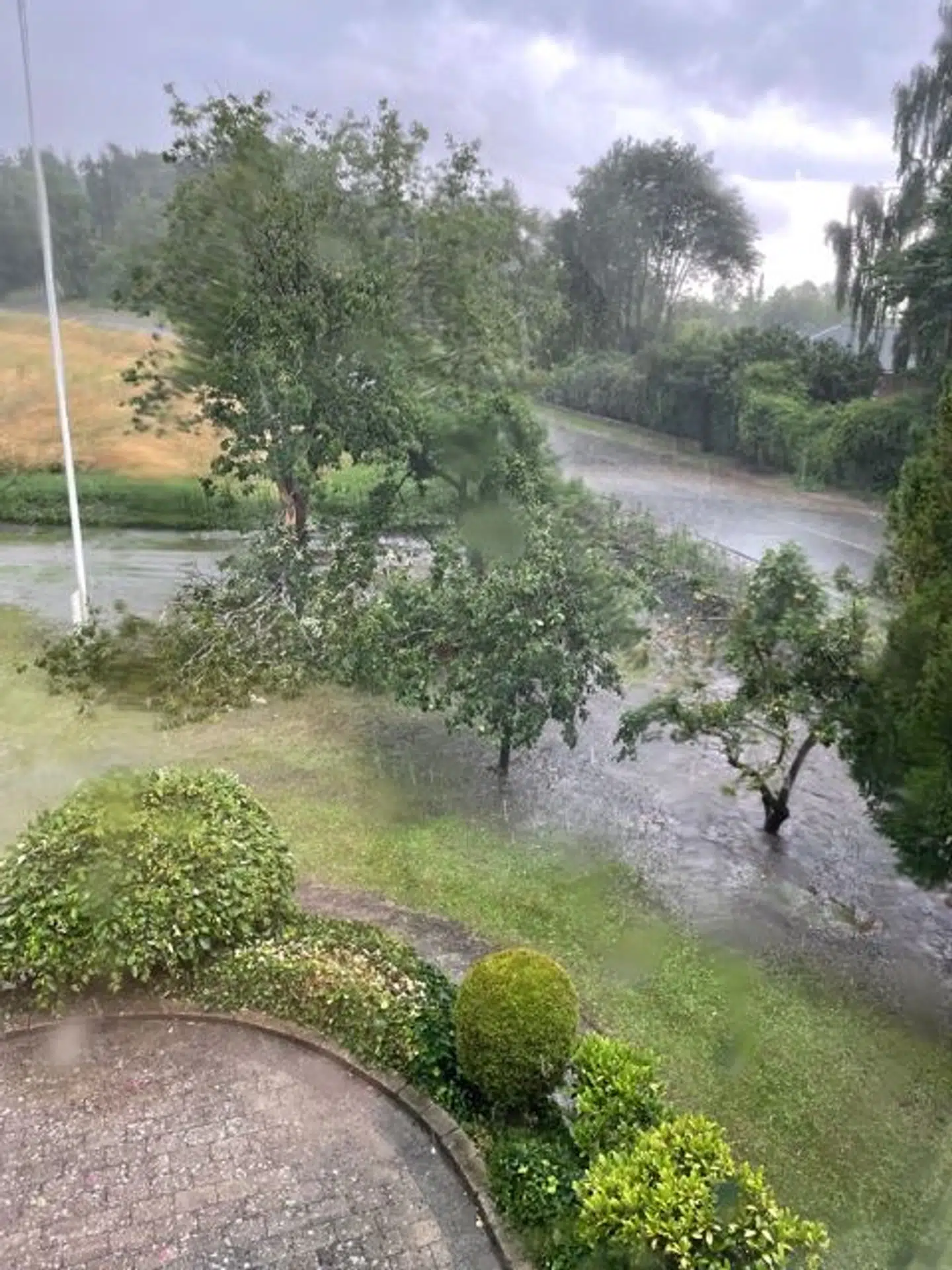 En oversvømmet have og væltede træer i Røsnæs tæt ved Kalundborg. Foto: Michael Malmberg