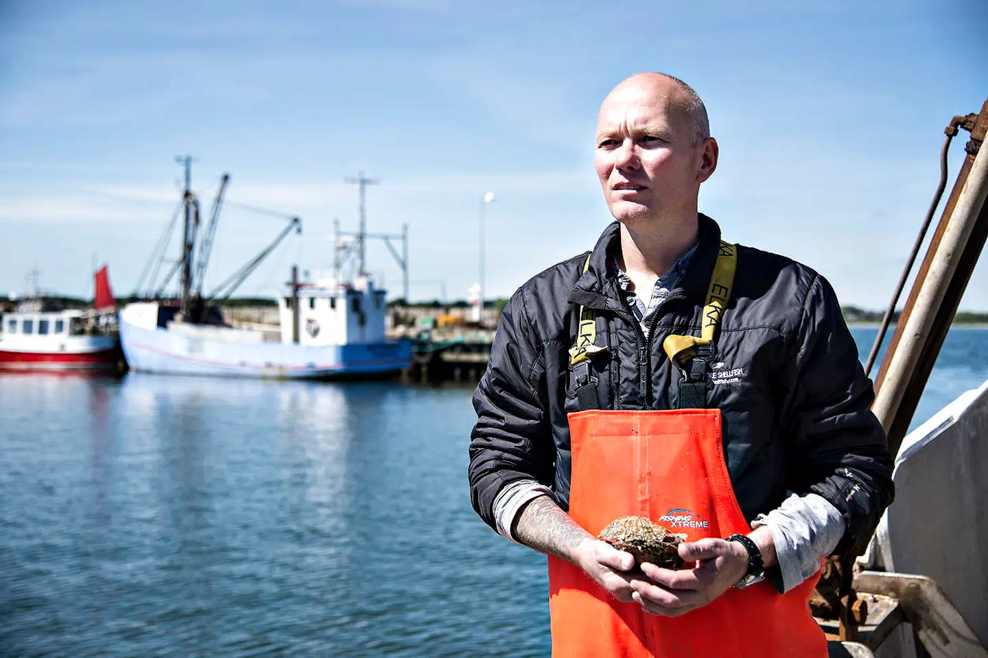 Svend Bonde slår et slag for de danske limfjordsøsters, der på et tidspunkt var ved at blive udkonkurreret af invasive arter.