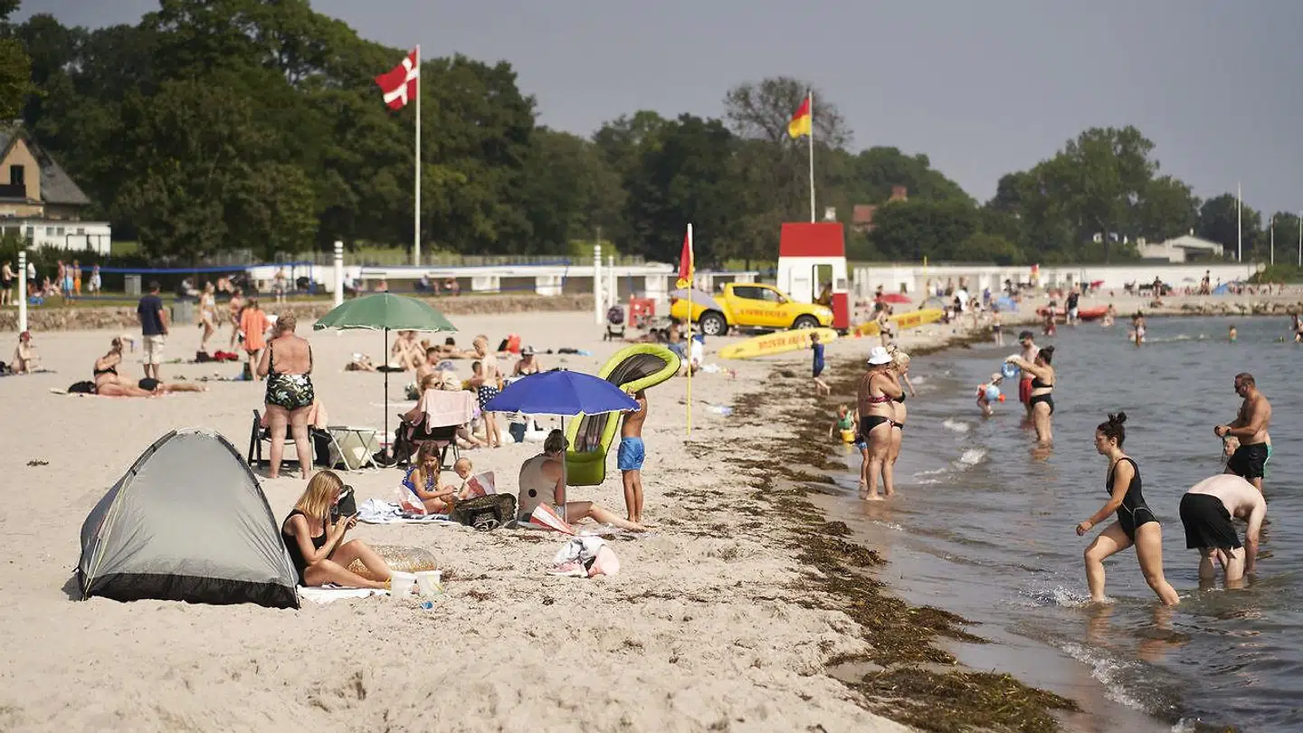 23 grader, så varmt er badevandet på Bellevue Strand netop nu.