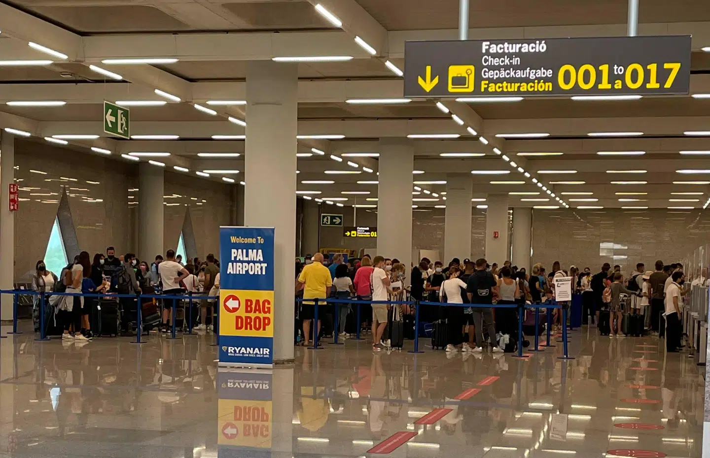Selvom Ryanair havde adskillige flyafgange næsten samtidig i Mallorcas lufthavn, så havde de kun to skranker, hvor passagerne kunne afleveres deres bagage. Det betød, at mange aldrig kom med flyet.
