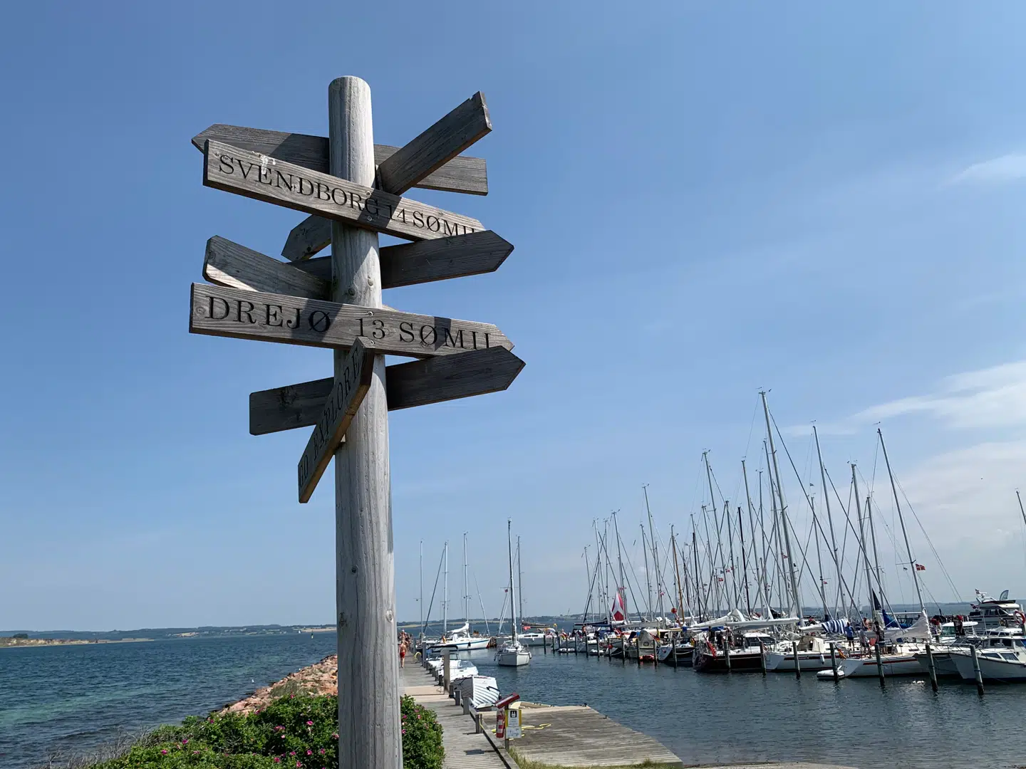 Hvilken vej skal man tage? Der er gratis færgedrift også denne sommer med regeringens sommerpakke. Her havnen på Avernakø.Foto: Jens Anton Havskov