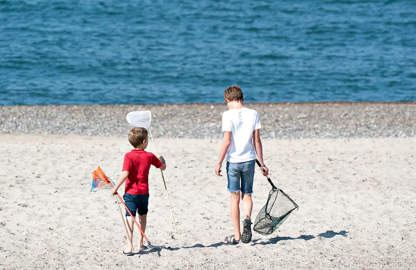 Sommerliv ved stranden i Agger Tange, 10. august 2020. Temperaturen ved Vestkysten er lavere end i resten af landet p.g.a den. kølige vind.. (Foto: Henning Bagger/Ritzau Scanpix)