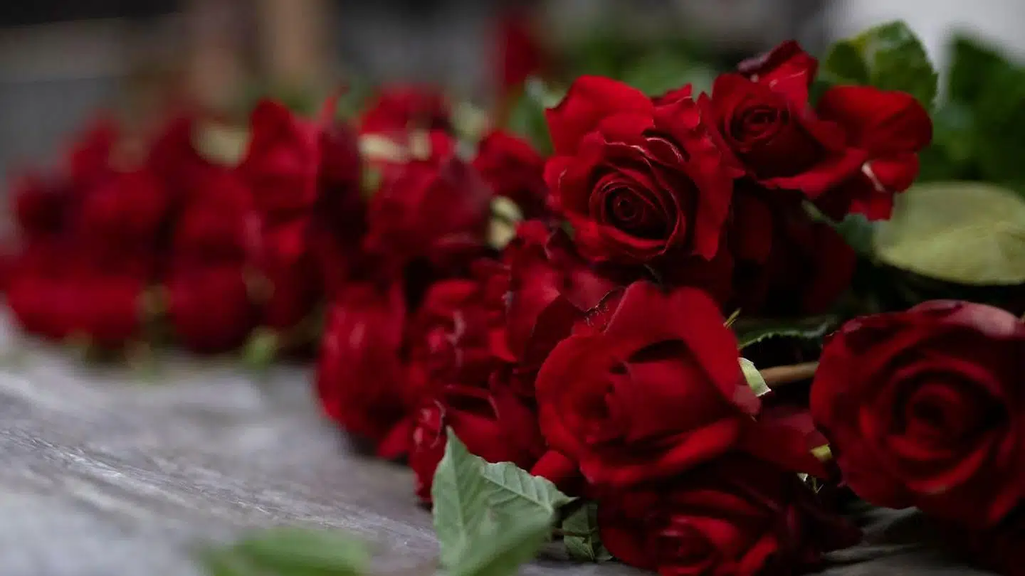 Der sendes massevis af roser fra Danmark mod Rusland.