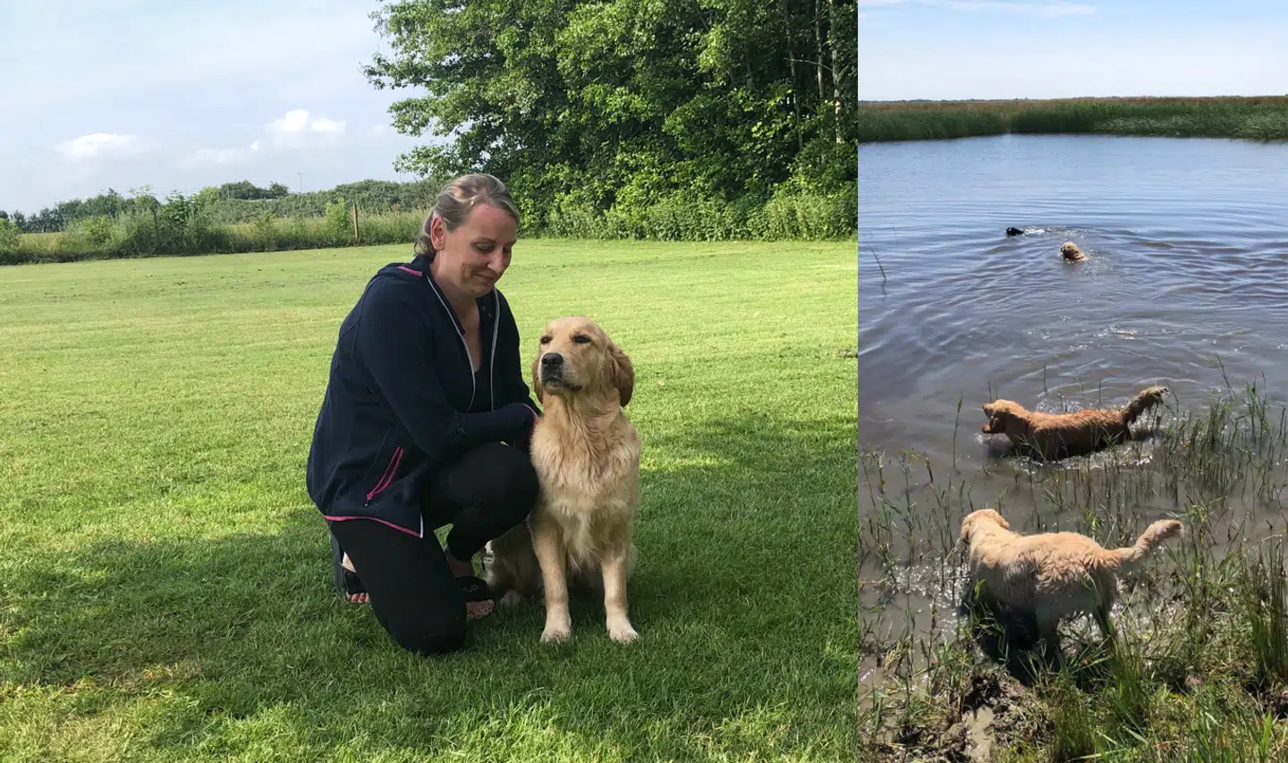 Rikke Andersen tager sine fire hunde med på en badetur. Det ender med at to af dem bliver forgiftet. Privatfoto.