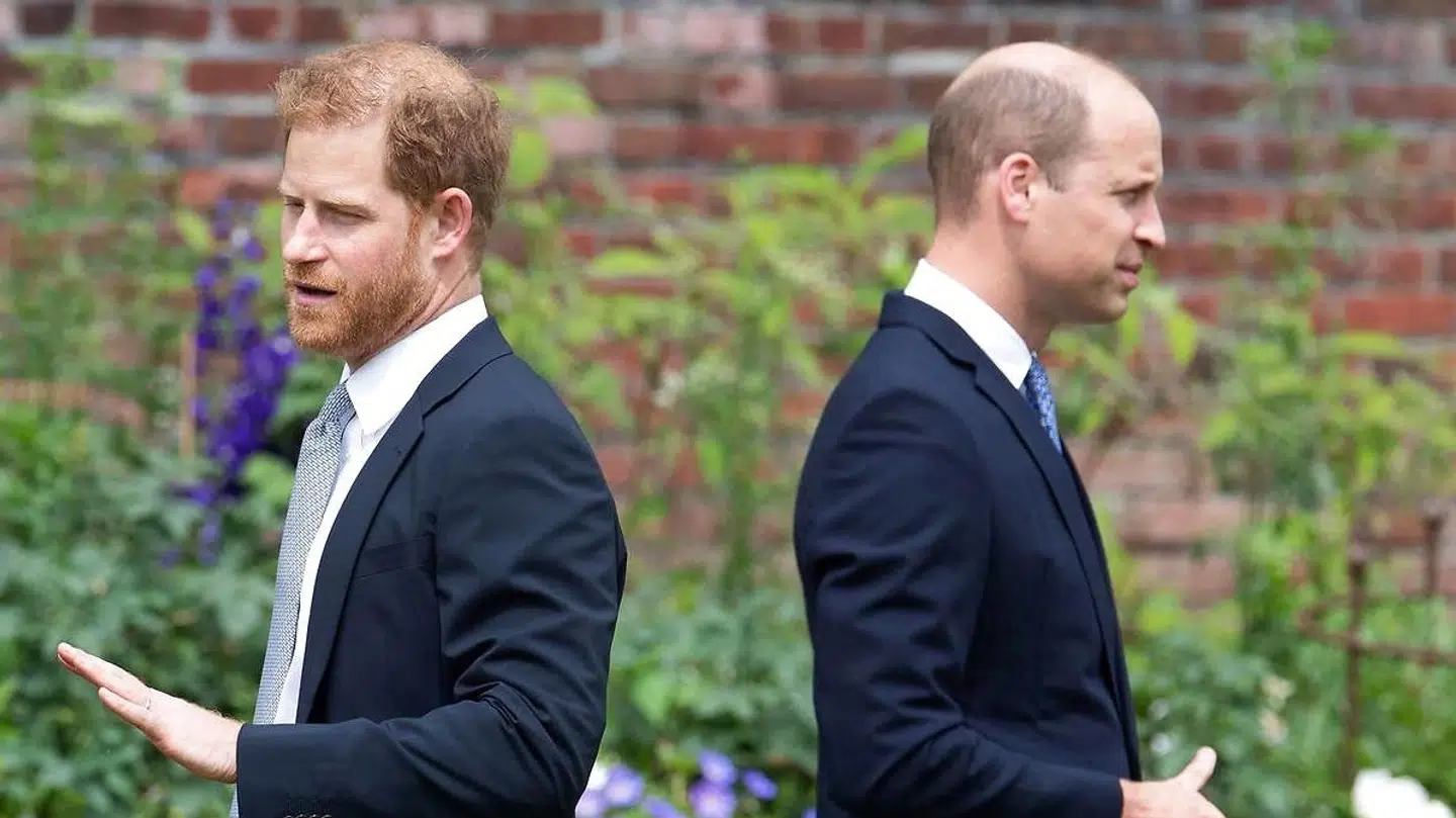 Forholdet mellem William og Harry har ikke været godt længe.