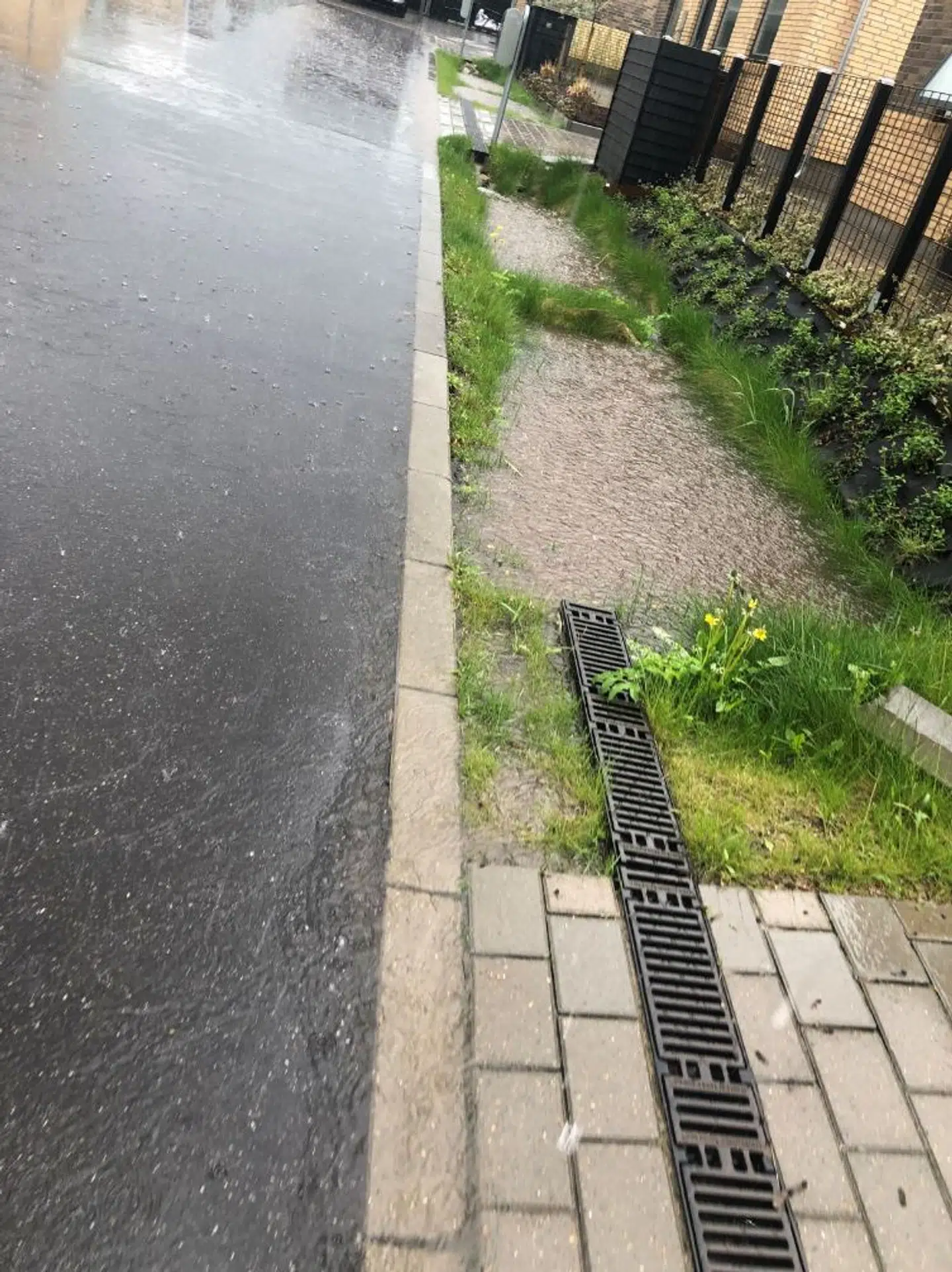 Foto af trugene, der er anlagt ude på vejen foran huset, som Christian frygter, at hans to små børn falder i.