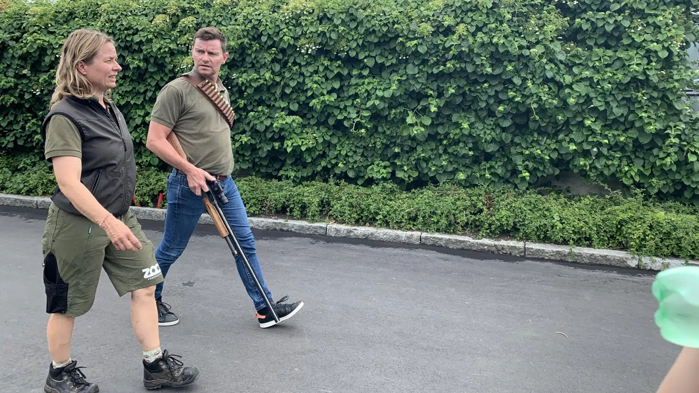 Zoo-personale i forbindelse med isbjørnens flugt.