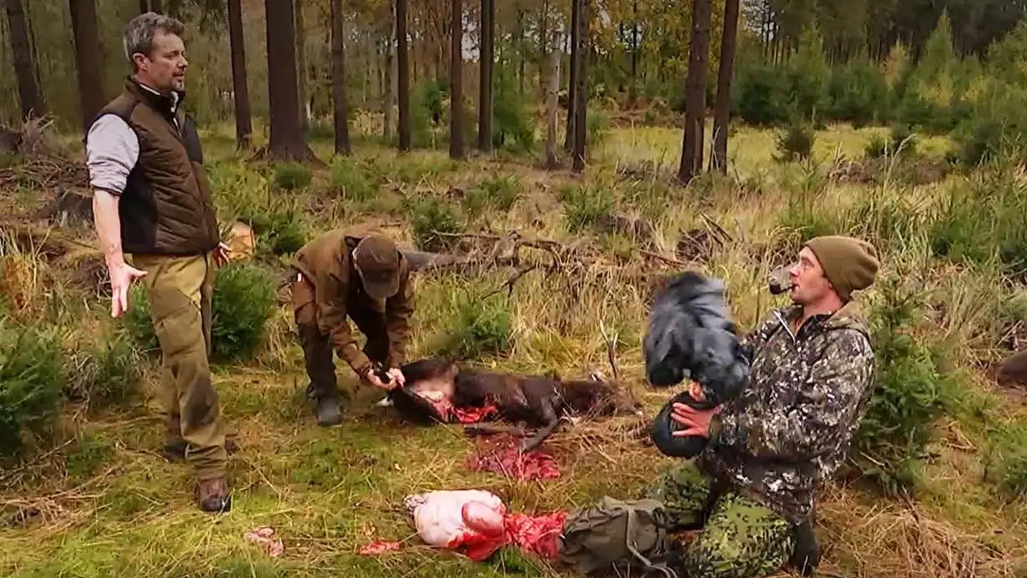 Sikaen er brækket op af Kronprisen og skal nu med hjem til lejren. Foto: DRTV