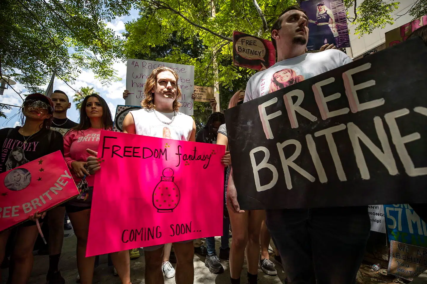 Demonstranter var mødt op foran retsbygningen for at støtte Britney Spears.