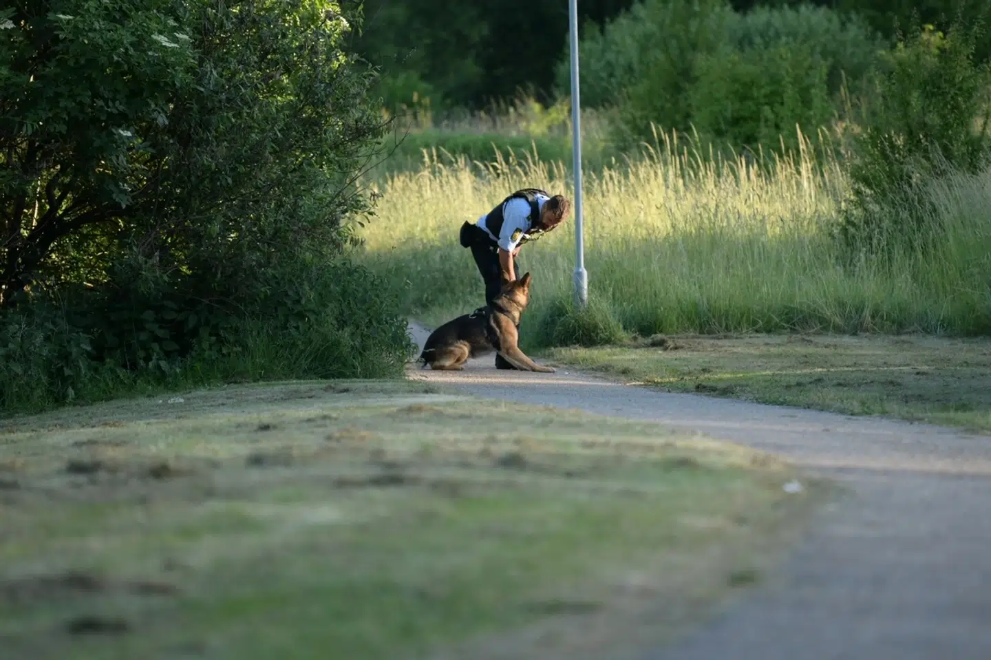 Betjente patruljerer området med hunde. Foto: presse-fotos.dk