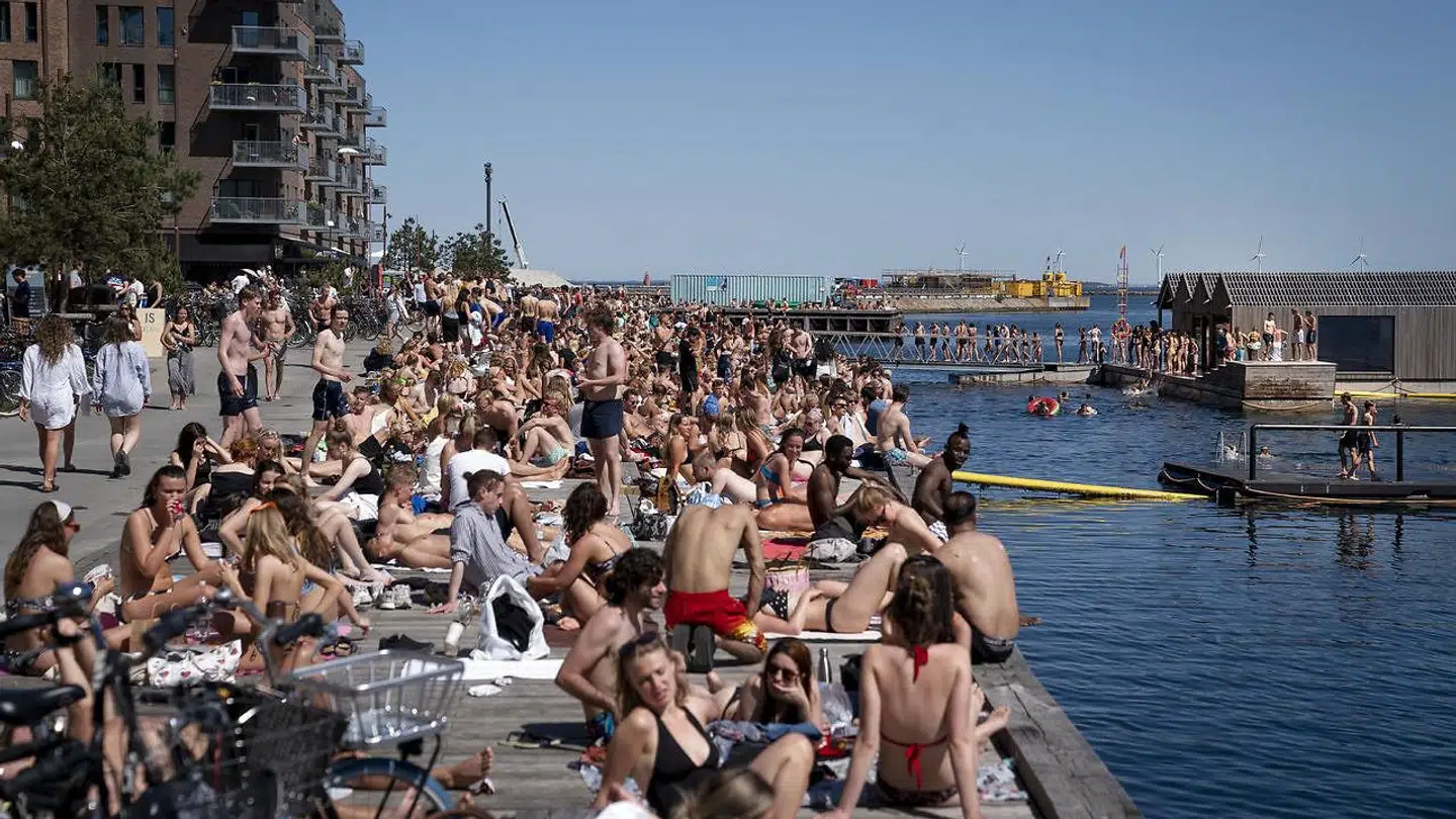 Nordhavnen er et af de steder, hvor der er problemer med sommerfester. Billedet her er fra tidligere på sommeren.