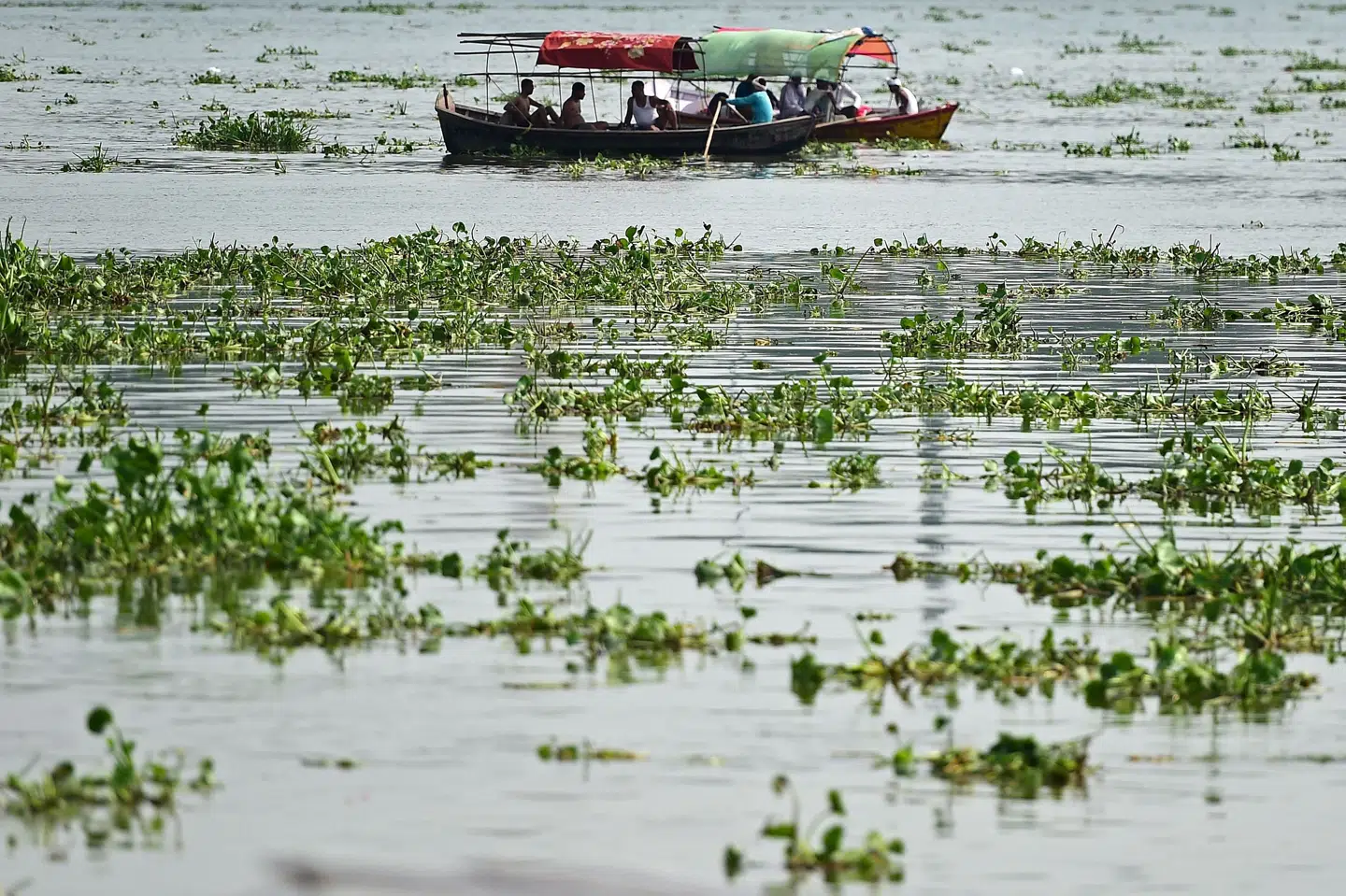 En baby er blevet fundet i en kasse på floden Ganges i Indien. En mand i en båd reddede barnet, som øjensynligt havde flydt på floden i længere tid. Sanjay Kanojia/Ritzau Scanpix