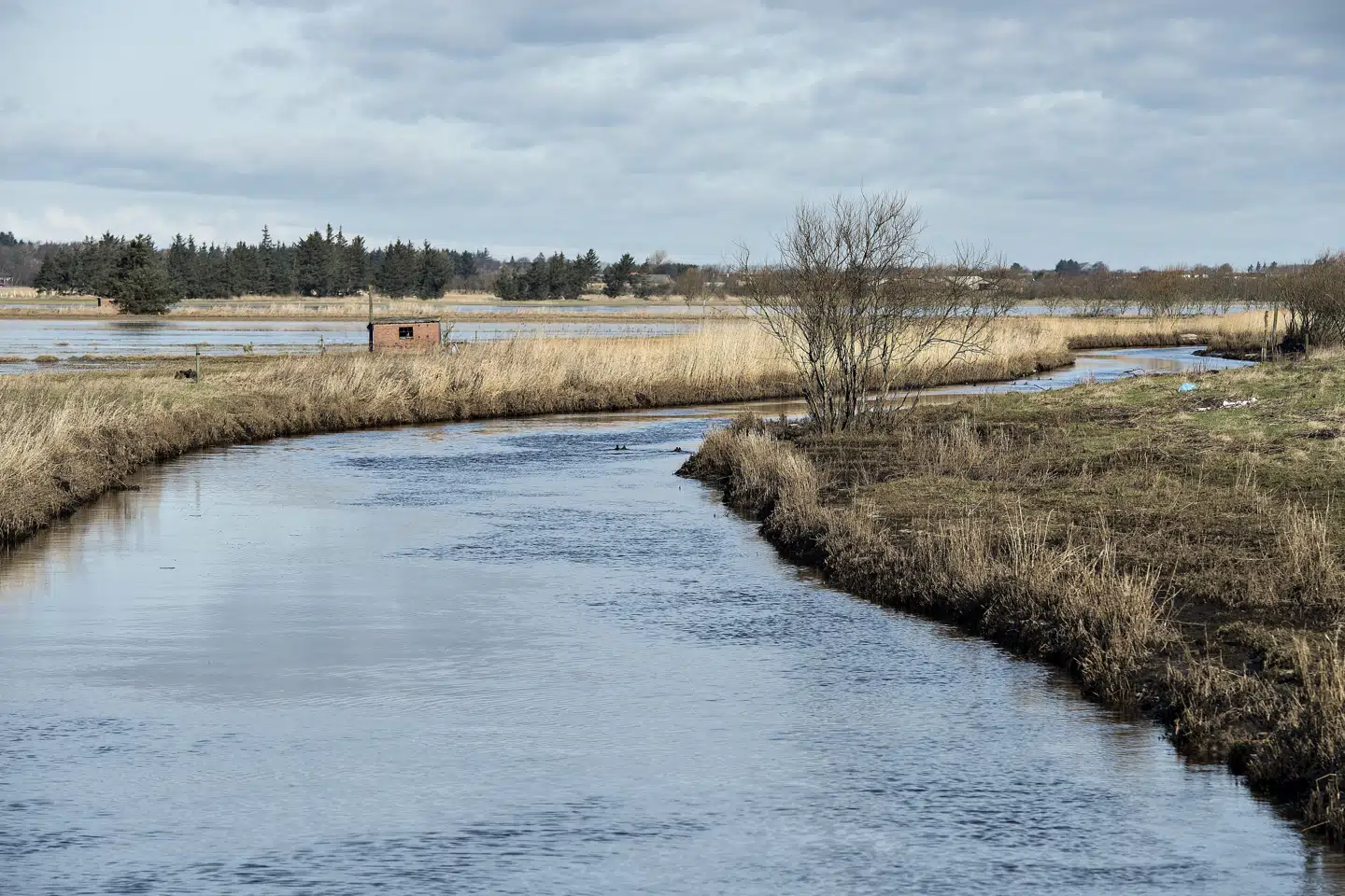 I mere end halvdelen af de vandboringer, der er foretaget i 2021, er der fundet pesticidrester. (Arkivfoto) Henning Bagger/Ritzau Scanpix