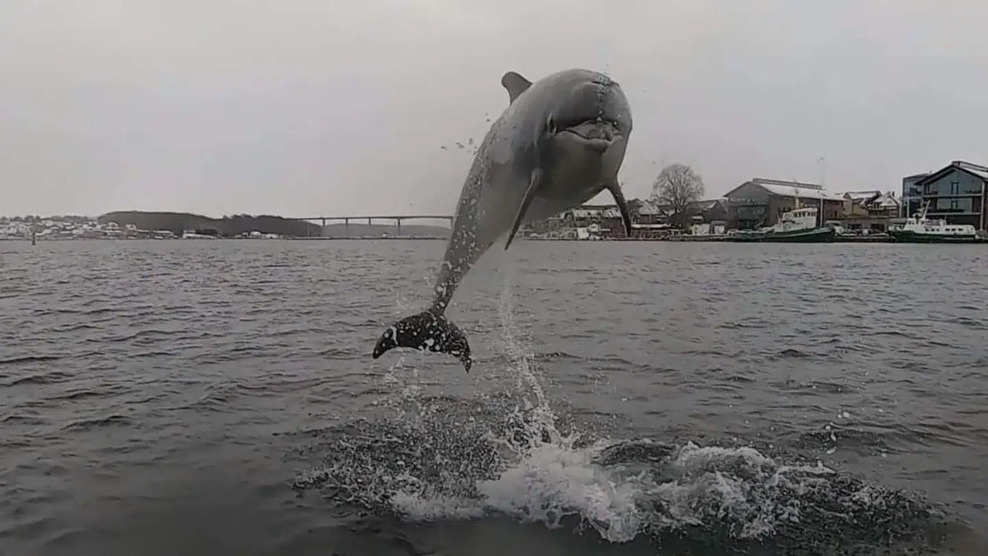 Foto: Jesper Stig Andersen