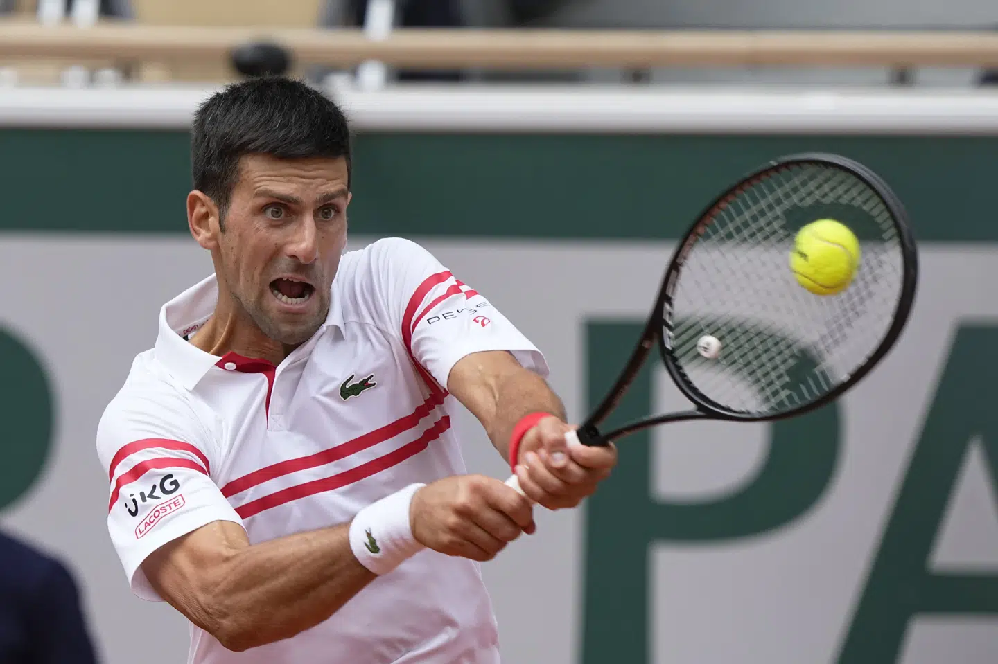 Novak Djokovic skal møde 25-årige Matteo Berrettini i kvartfinalen i French Open. Michel Euler/Ritzau Scanpix