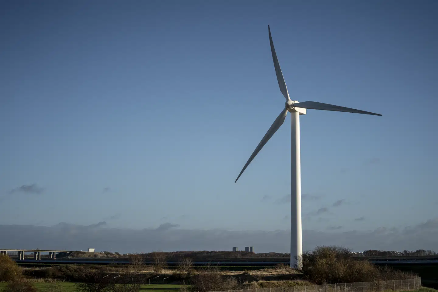 Medlemslandene i EU skal kunne støtte vedvarende energiprojekter med op til 100 procent, mener EU-Kommissionen i oplæg til ændrede statsstøtteregler, der skal bidrage til en hurtigere grøn opstilling. Mads Claus Rasmussen/Ritzau Scanpix