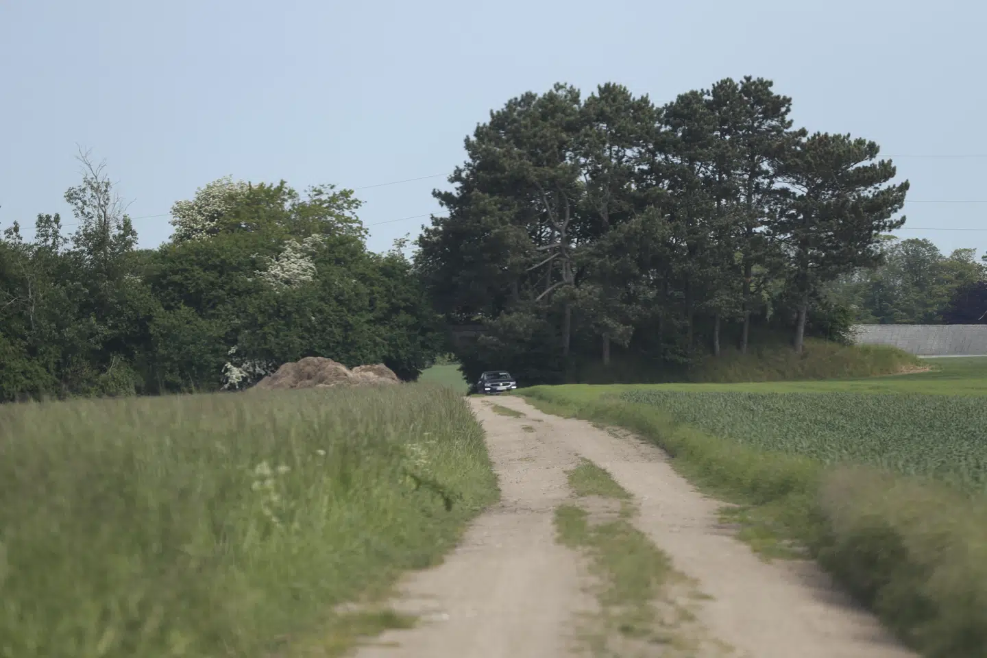 Billedet er taget ved området i dag, fredag.