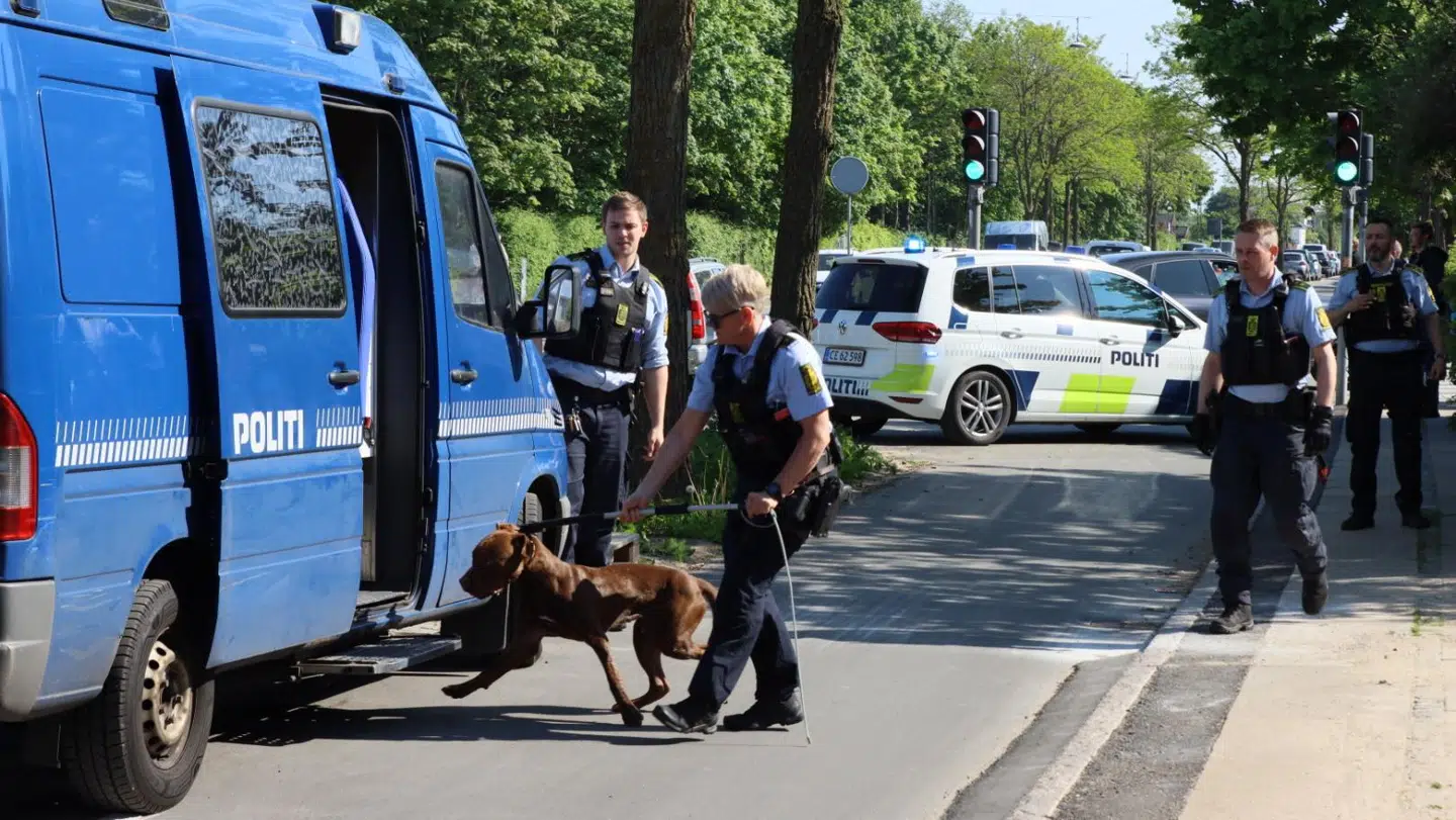 Den løse hund, som tidligere onsdag bed en person på Amager, er blevet indfanget.