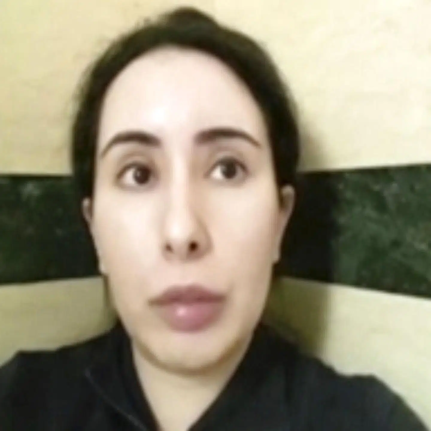 Prinsesse Latifa i en af videoerne.