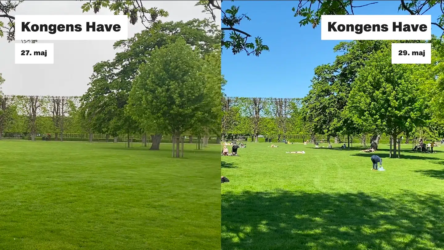 Kongens Have i København.
