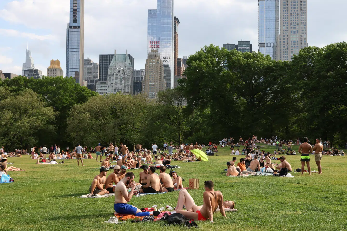 I takt med at smitten er faldet i delstaten New York er restriktioner som mundbindskrav og forsamlingsforbud blevet ophæver. Her nyder folk en mundbindsfri forårsdag i Central Park i sidste uge. Caitlin Ochs/Reuters