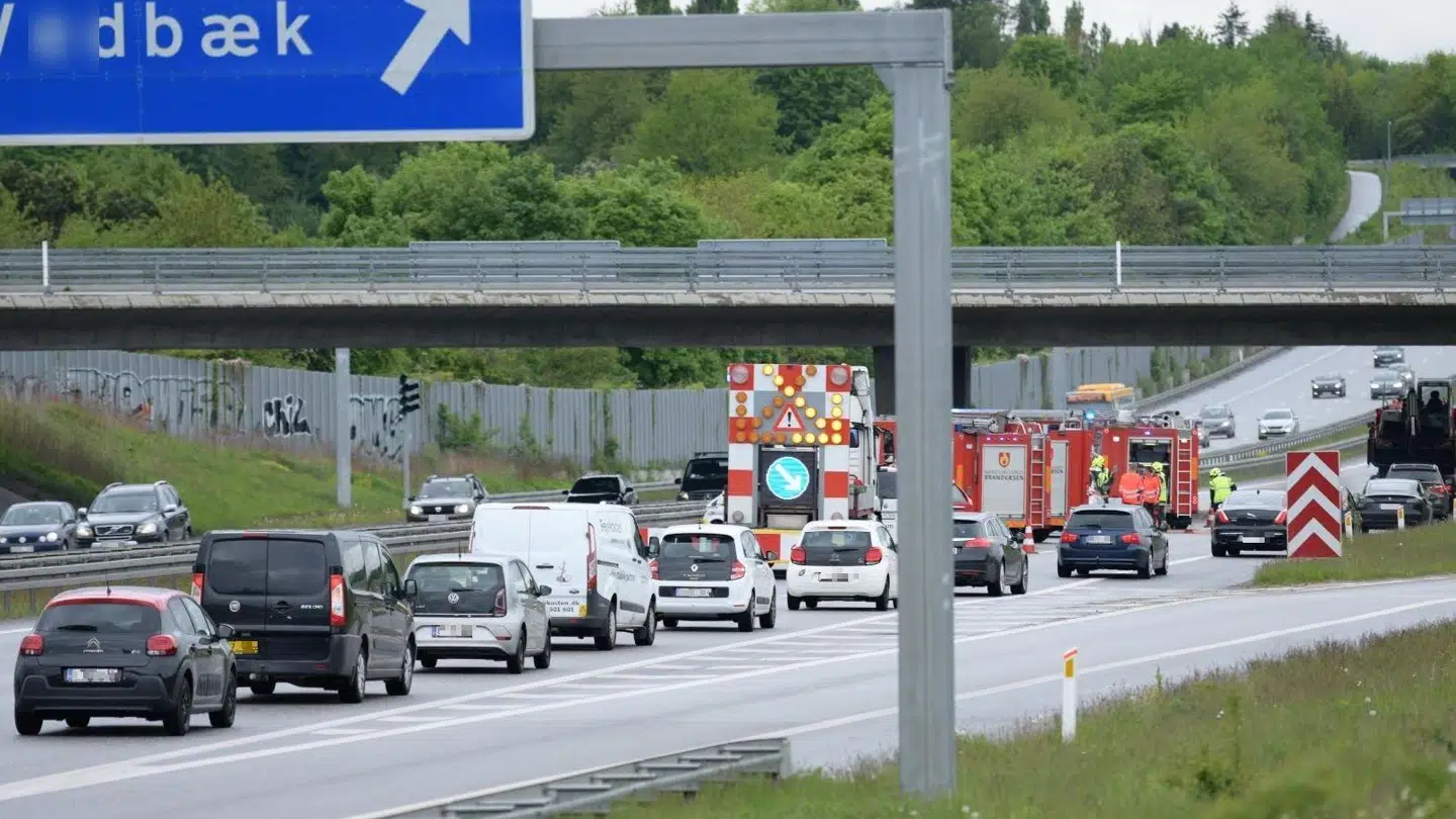 Kødannelse på Helsingørmotorvejen.