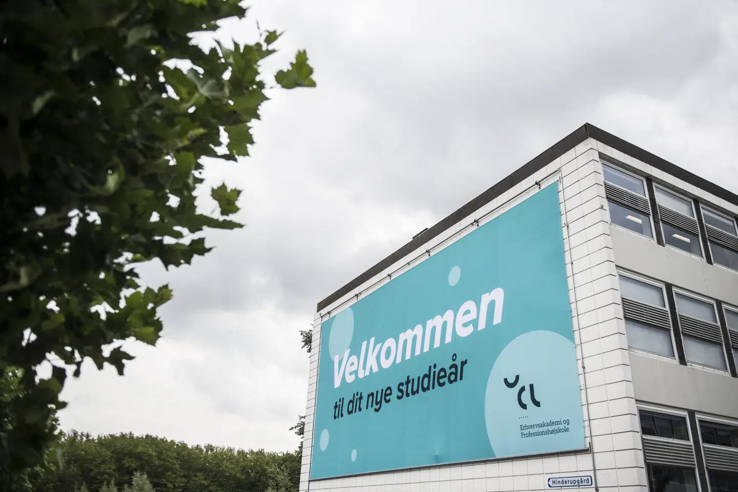 Regeringen vil have flere unge til at læse uden for de store byer. (Arkivfoto) Tim Kildeborg Jensen/Ritzau Scanpix