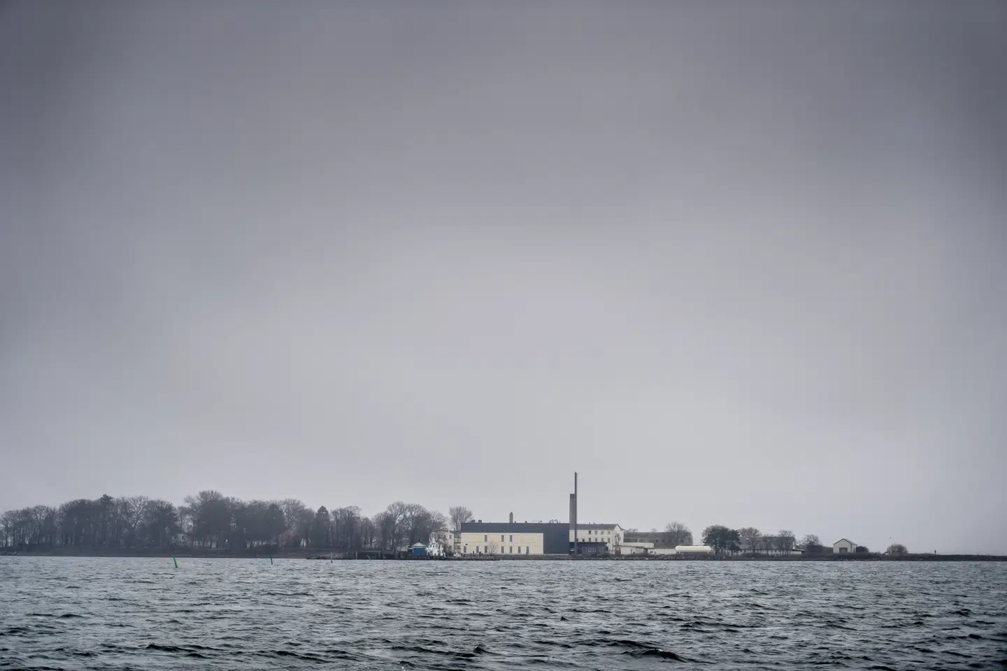 Øen Lindholm nær Kalvehave og Møn er løsningen, siger Konservatives formand, Søren Pape Poulsen, om placeringen af et udrejsecenter. (Arkivfoto) Mads Claus Rasmussen/Ritzau Scanpix