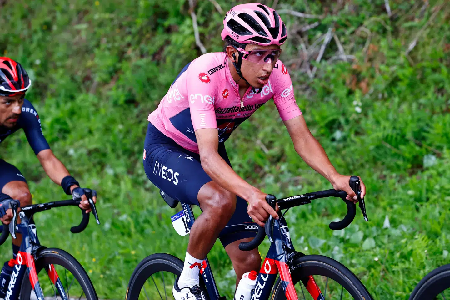 Egan Bernal blev nummer fire tog tid på konkurrenterne på lørdagens etape i Giro d'Italia. Luca Bettini/Ritzau Scanpix