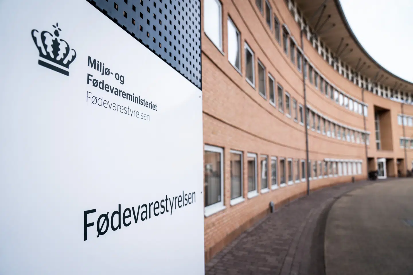 Fødevarestyrelsen arbejder i øjeblikket på at afklare, hvordan smitte med fiskesygdommen IHN er opstået (Arkivfoto). Emil Helms/Ritzau Scanpix