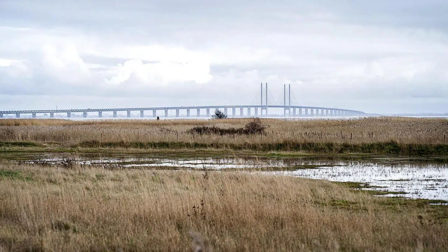 Det er Grænsecenter Øresund, en kombination af dansk og svensk politi i Øresundsregionen, der har gennemført aktionen (Foto: Ida Guldbæk Arentsen/Ritzau Scanpix).