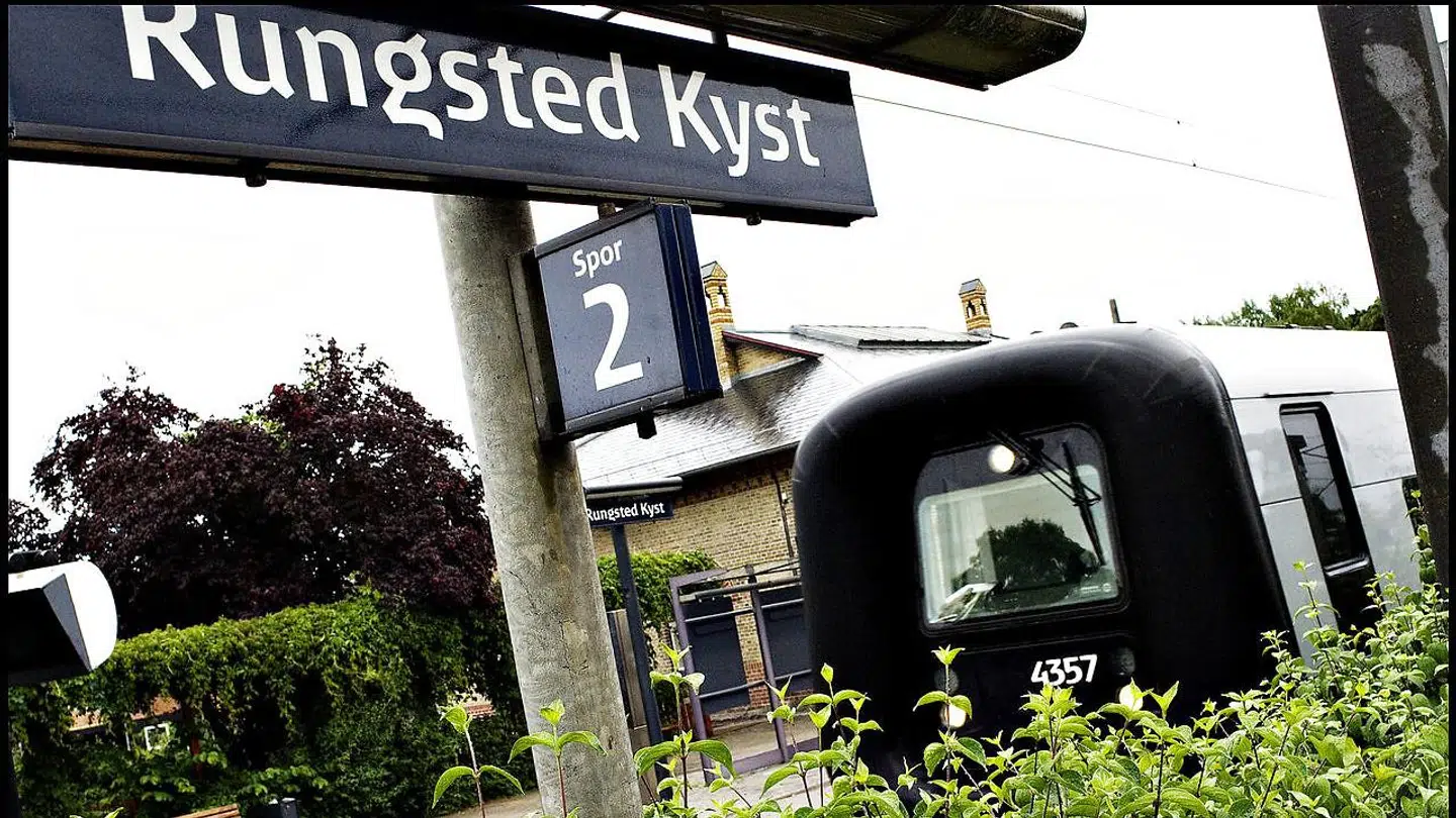 I Rungsted Kyst er der ballade om otte gamle træer, som nogen mener, skygger for udsigten over Øresund. (Arkivfoto)