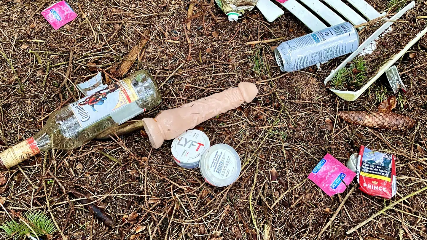 Skoven bliver tilsyneladende brugt til lidt af hvert.