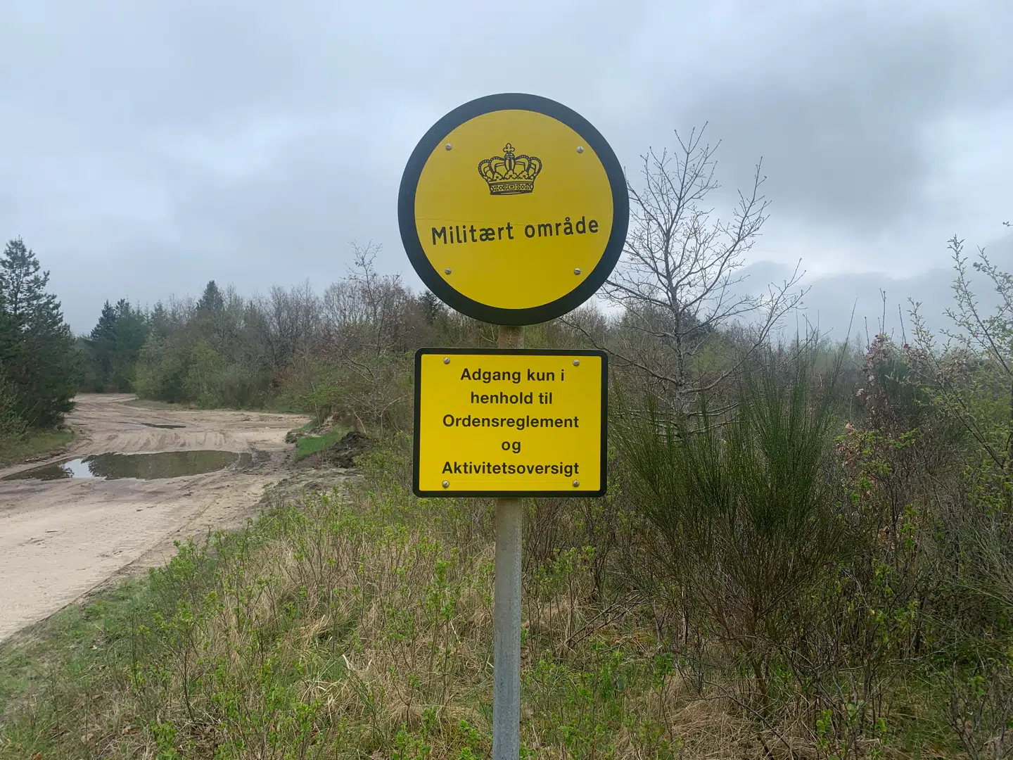 Det er her på det militære øvelsesterræn ved Nørre Felding sydvest for Holstebro, at arbejdet med at opgrave og bagefter bortskaffe to millioner rådne mink fra massegravene er gået i gang. Om en måneds tid kommer turen til det militære område ved Karup, hvor næsten lige så mange forrådnede mink ligger i massegrave og skal opgraves.Foto: Jens Anton Havskov