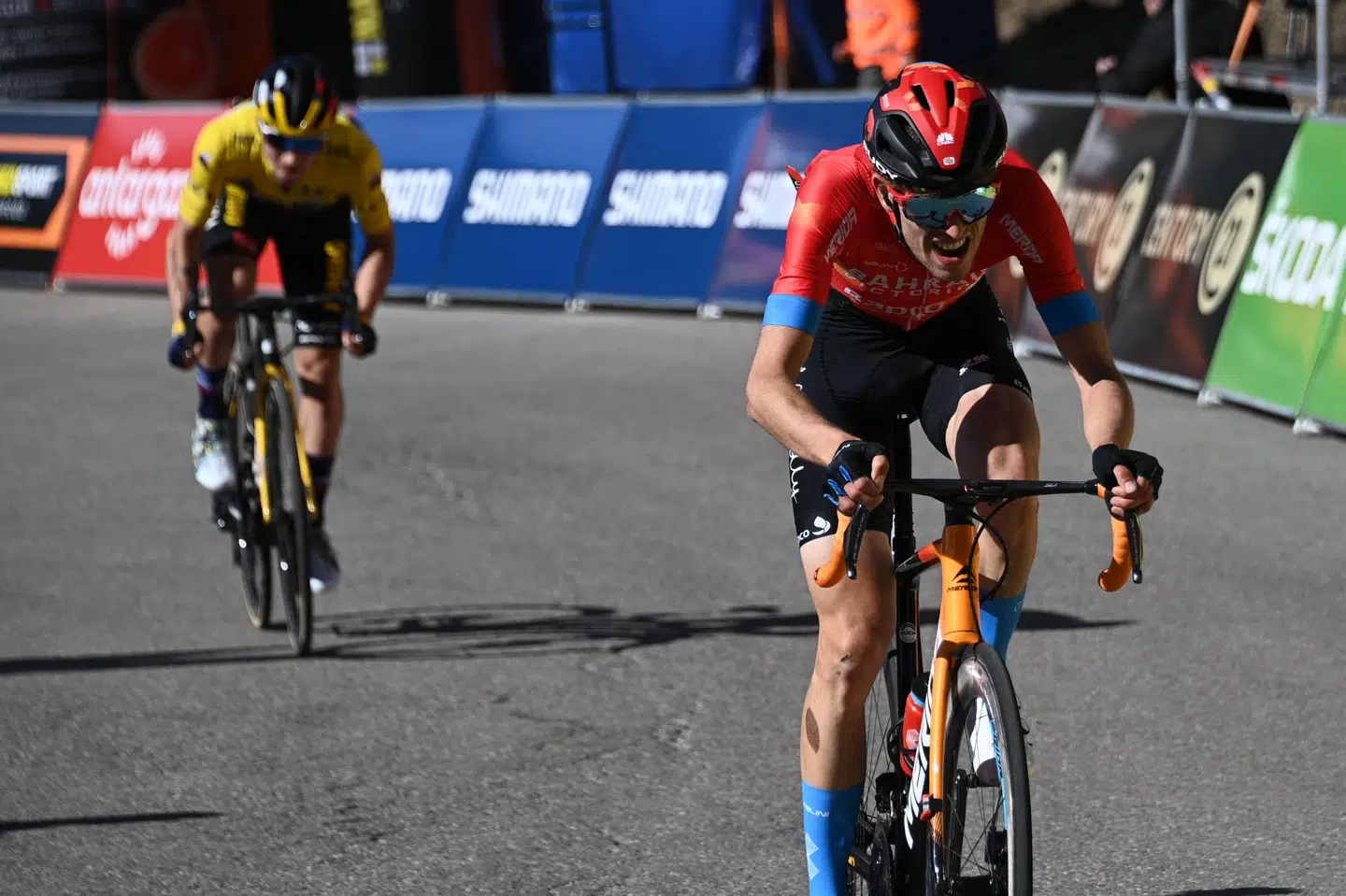 Kort før målstregen på en etape i Paris-Nice blev Gino Mäder (i rødt) indhentet af Primoz Roglic (i gult), men torsdag i Giroen holdt schweizeren hele vejen til mål. (Arkivfoto) Anne-Christine Poujoulat/Ritzau Scanpix