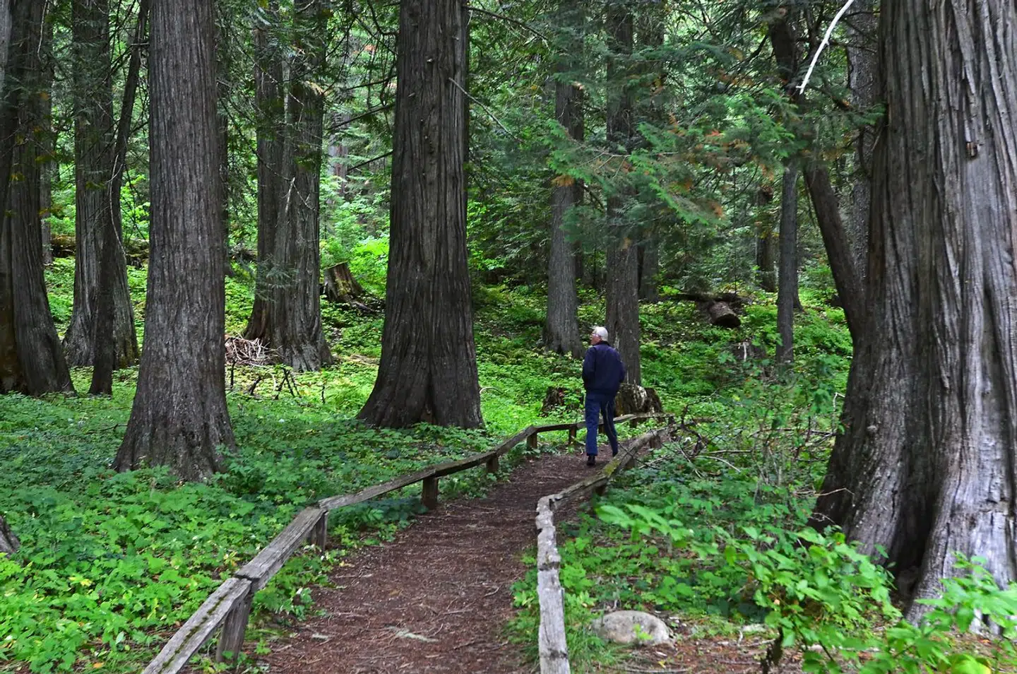 Skudepisoden fandt sted på the Lewis and Clark trail i Missouri. Foto: Scanpix