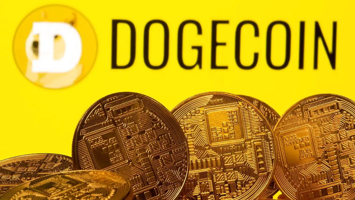 Kryptovalutaen Dogecoin er eksploderet i værdi i 2021.