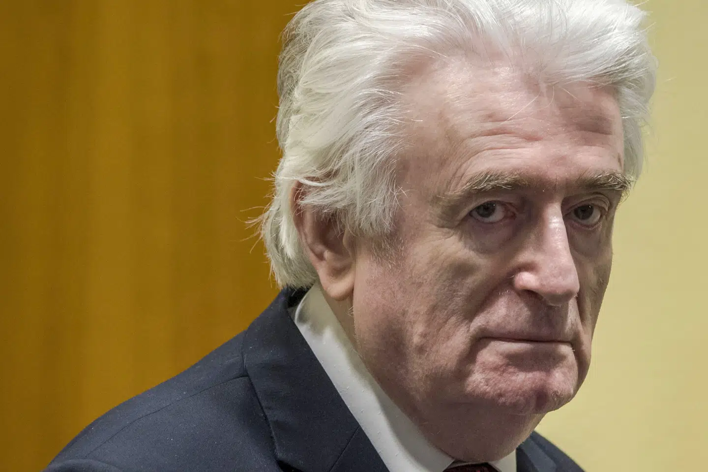 Den tidligere bosnisk-serbiske leder Radovan Karadzic blev i marts 2019 kendt skyldig i folkedrab ved en domstol i Haag. I dag afsoner Karadzic en livstidsdom i et fængsel i den hollandske hovedstad, men skal overflyttes til et britisk fængsel. (Arkivfoto) Peter Dejong/Ritzau Scanpix