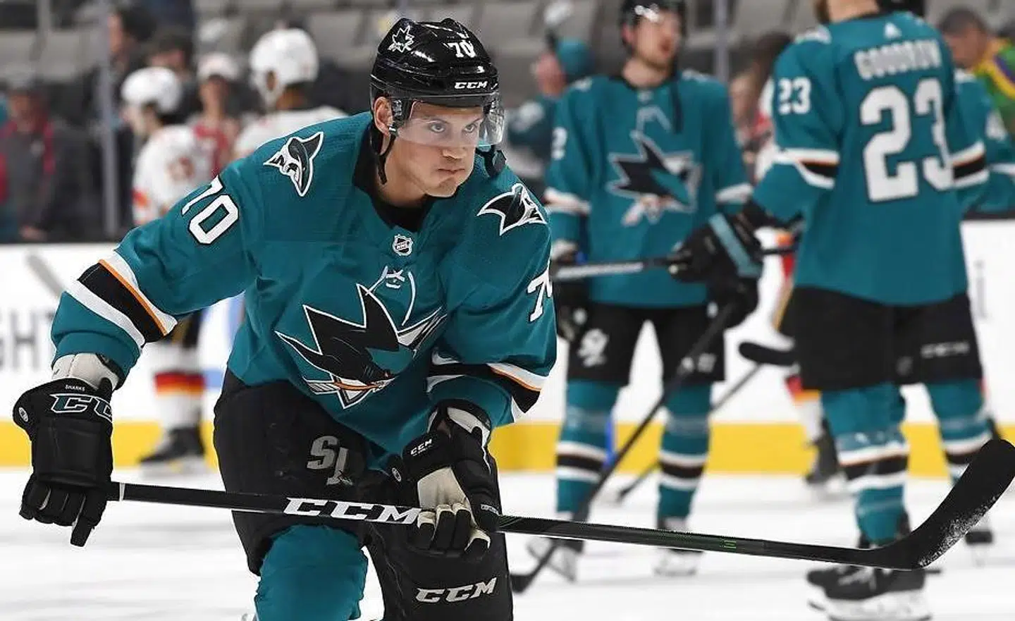 Alexander True i aktion for sit amerikanske hold, San Jose Sharks
