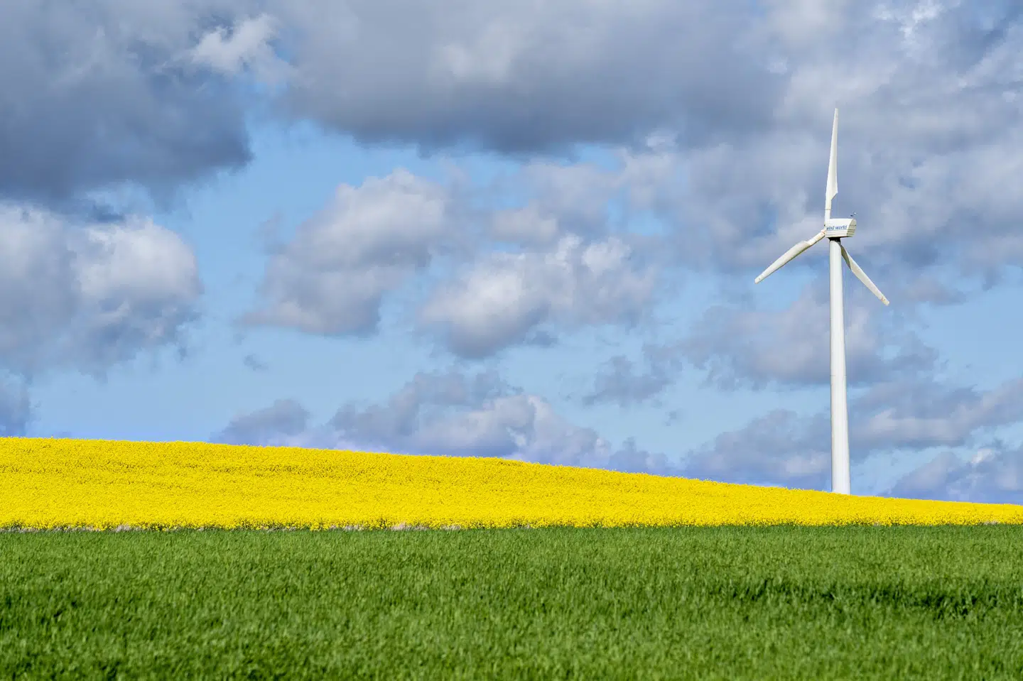 Statsrevisorerne har onsdag rettet en skarp kritik mod forvaltningen af tilskud og støtte til landbrug. (Arkivfoto) Henning Bagger/Ritzau Scanpix