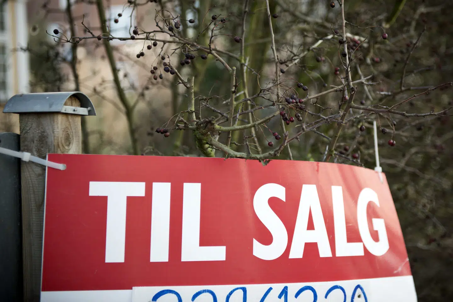 Priserne på lejligheder og huse er nu steget hver måned i et år. (Arkivfoto) Mathias Løvgreen Bojesen/Ritzau Scanpix