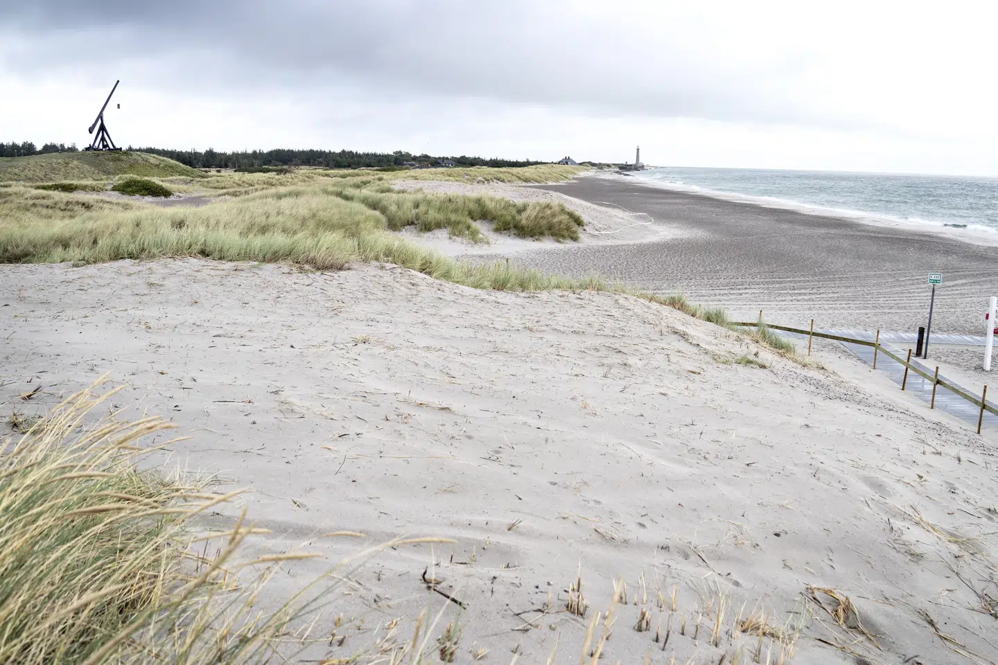 To klitter på Skagen Sønderstrand blev raseret af en gummiged, der flyttede rundt på sandet. For godt to uger siden afgjorde Retten i Hjørring, at to mænd hver skulle idømmes betinget fængsel for episoden. Det har anklagemyndigheden besluttet ikke at anke til landsretten. (Arkivfoto) Henning Bagger/Ritzau Scanpix