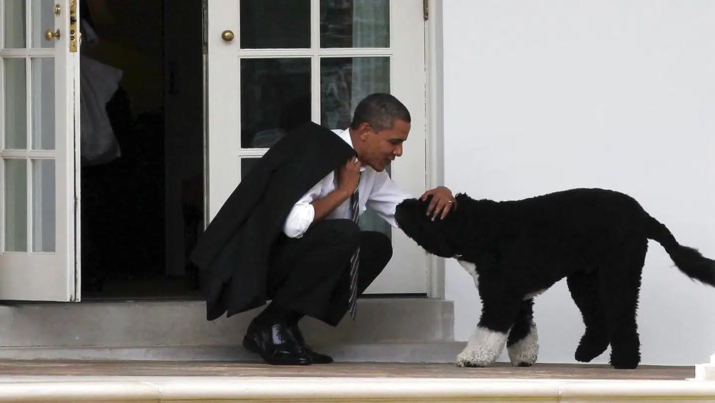 Obama sammen med hunden Bo