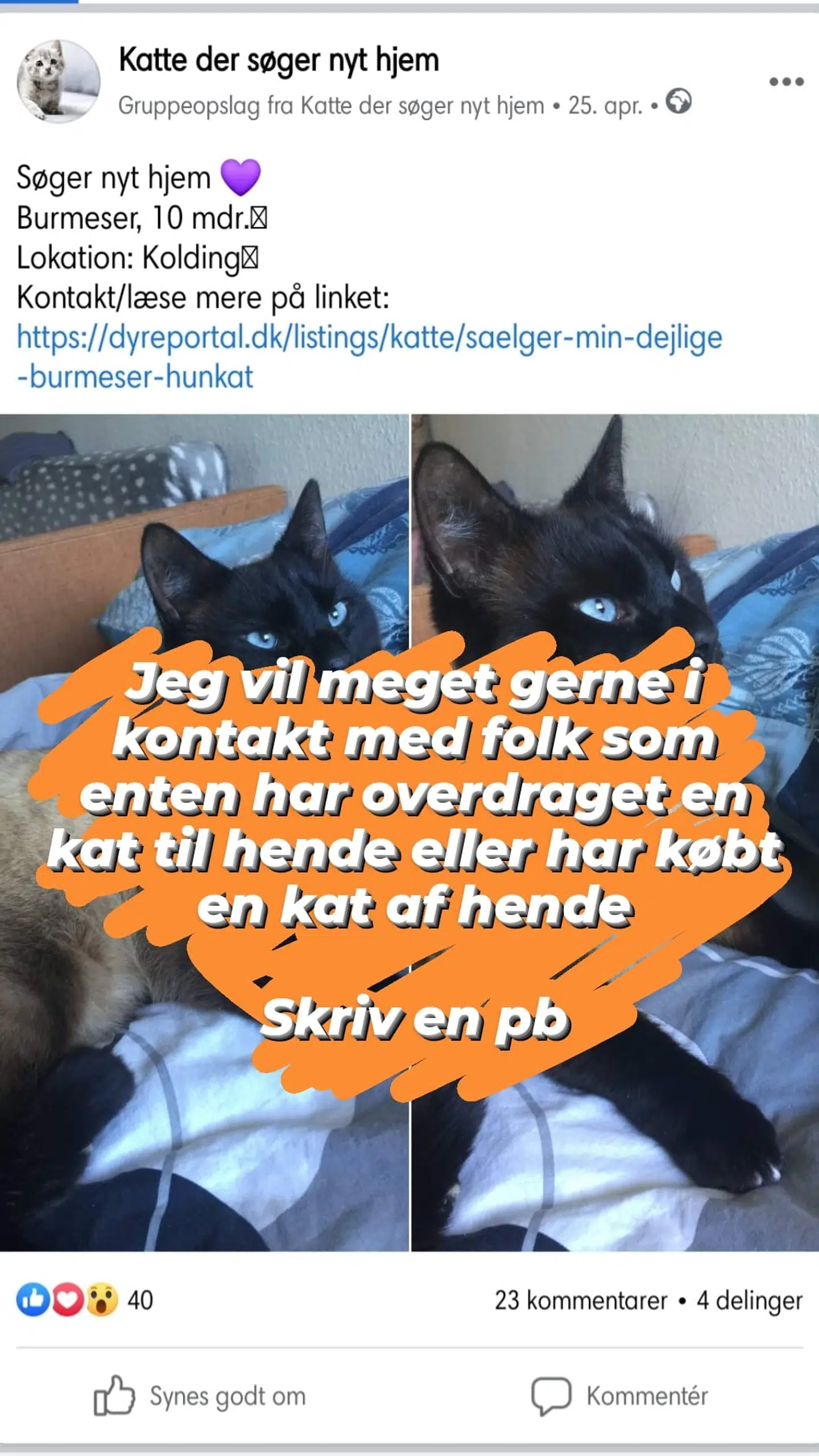 Her er opslaget af katten, som Nikita Elisabeth Lorenzen ikke kunne stå for.